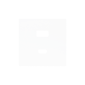 Zennio ZS55 - USB-C+A centraalplaat (Mat wit)