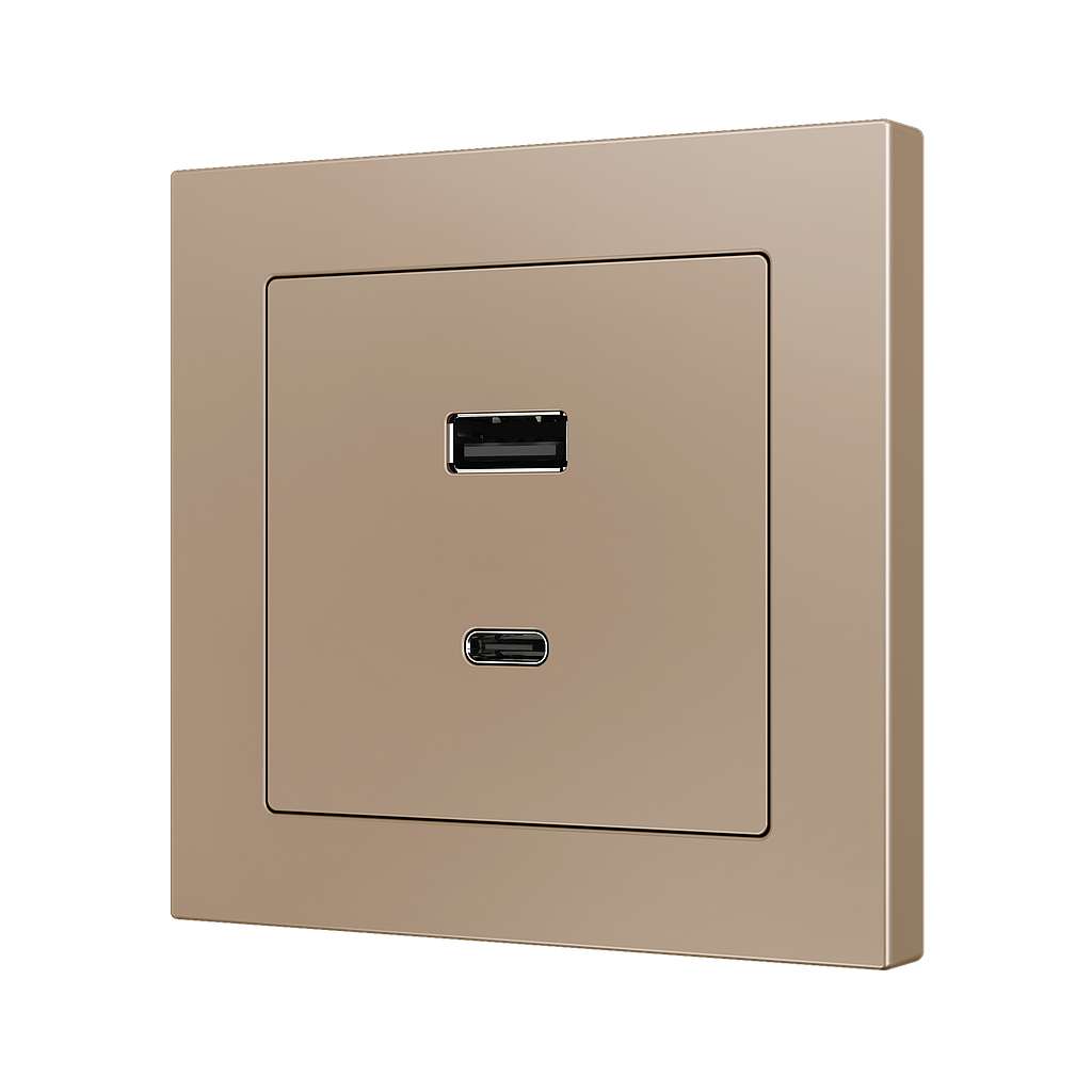 Zennio ZS55 - USB-C+A centraalplaat (Champagne)