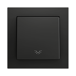 Zennio ZS55 - Soft drukknop - enkel 1-v - licht icoon (Antraciet) - VPE=10