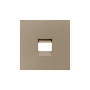 Zennio ZS55 - Enjoliveur pour connecteur RJ45 singulier (Champagne)