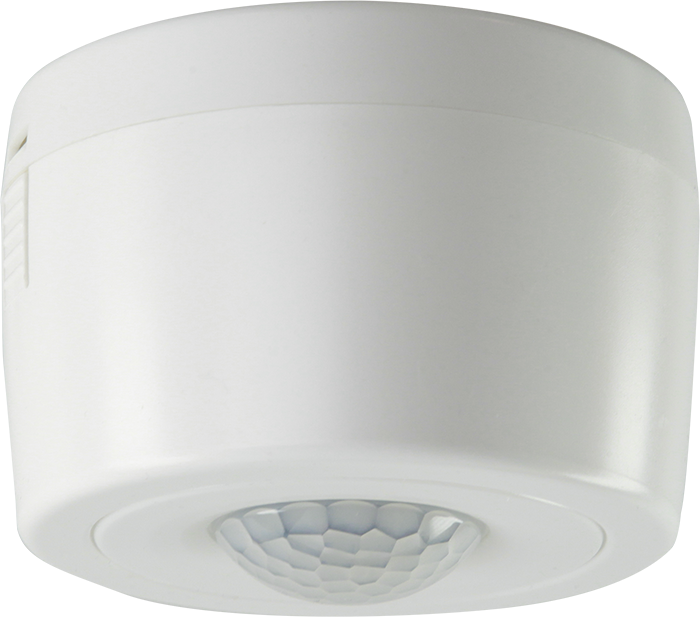 EAE PD100 S